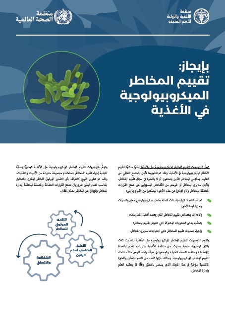 بإيجاز:  
تقييم المخاطر 
الميكروبيولوجية 
في الأغذية