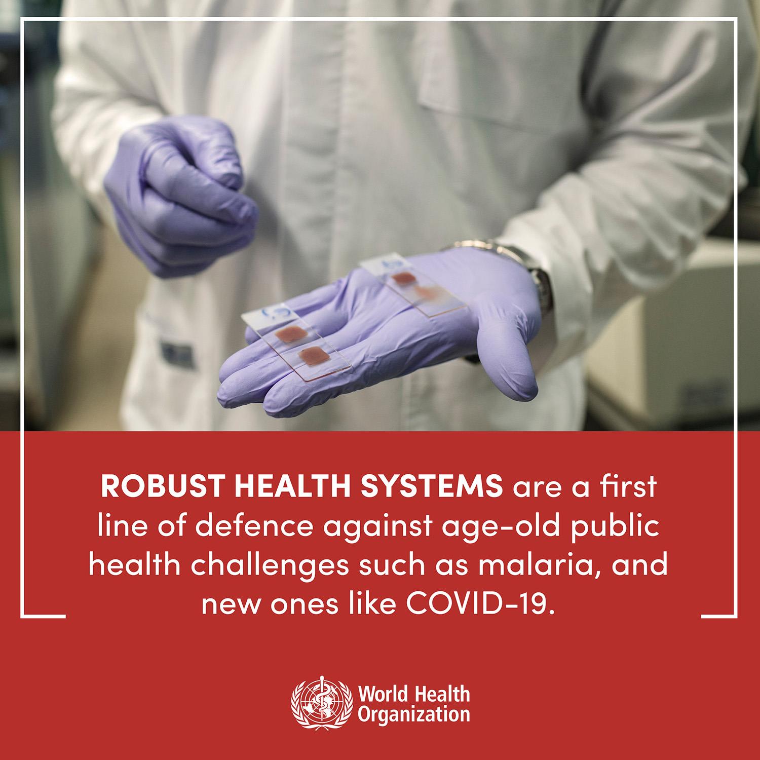 malaria-covid-19-robust-2-eng