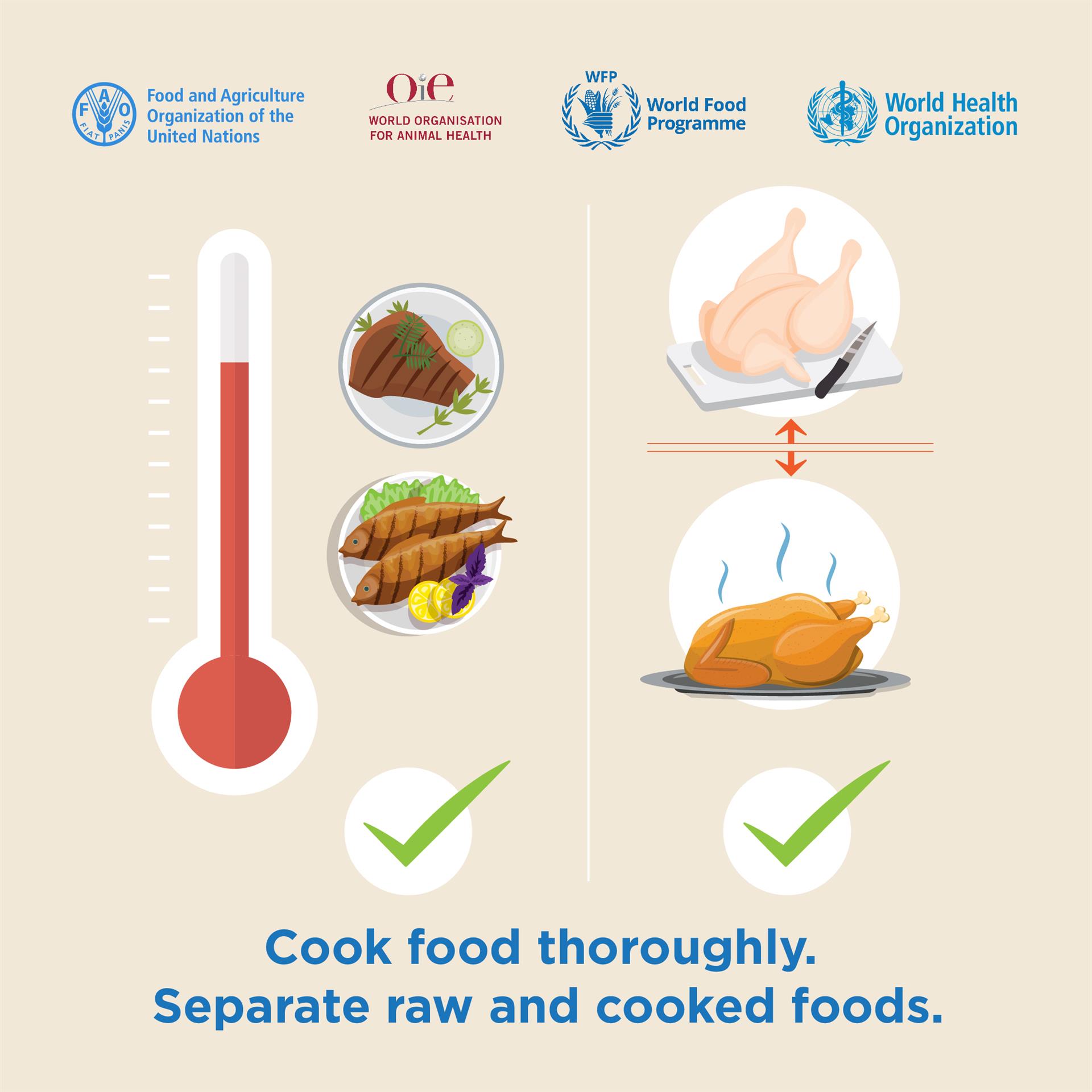 200511_FAO_Social media_Instagram_V19_no4